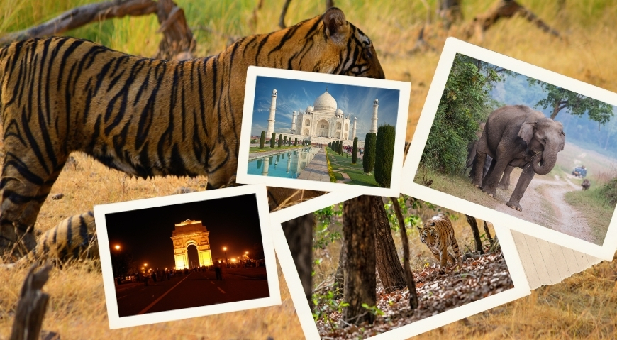 tours-img